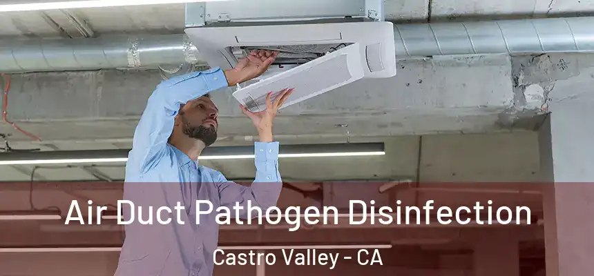  Air Duct Pathogen Disinfection Castro Valley - CA