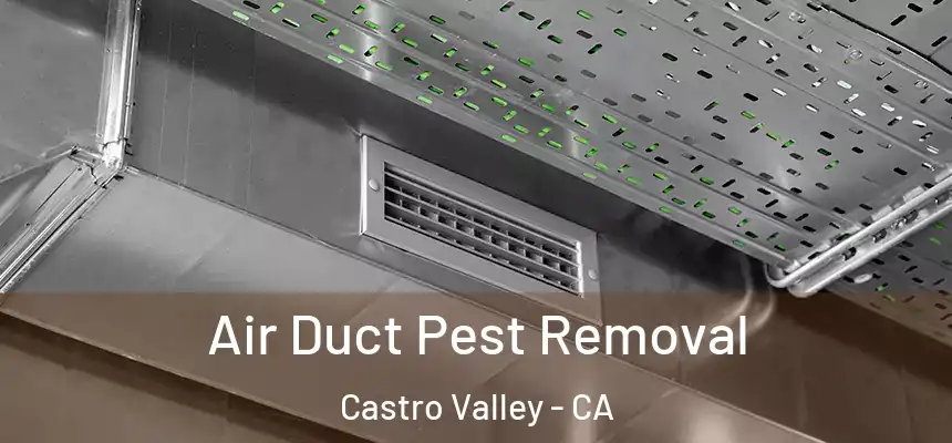  Air Duct Pest Removal Castro Valley - CA