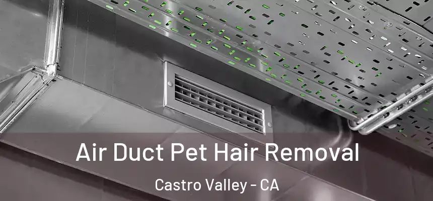  Air Duct Pet Hair Removal Castro Valley - CA