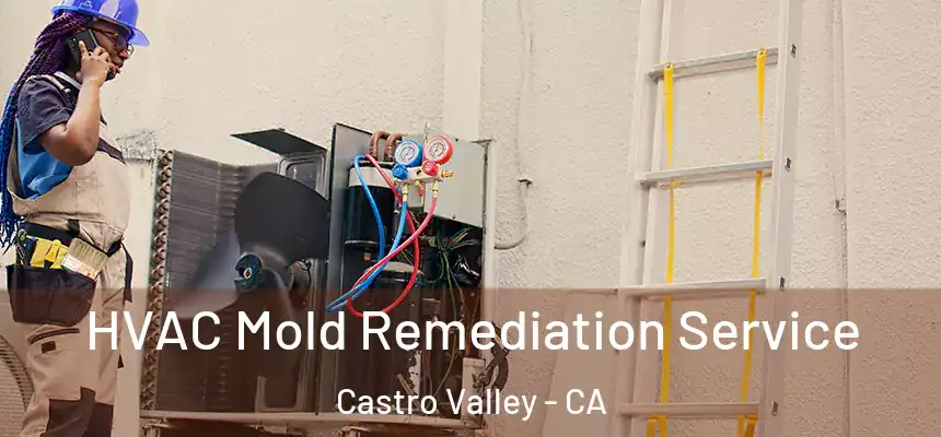  HVAC Mold Remediation Service Castro Valley - CA