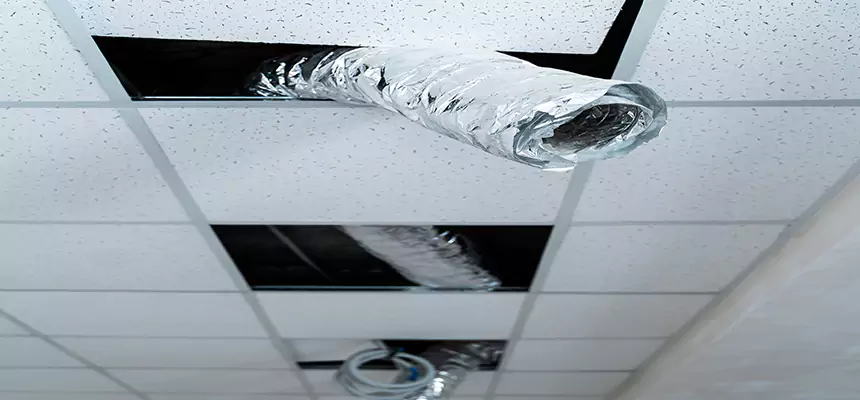 Affordable HVAC Sanitizing After Pest Removal in Castro Valley