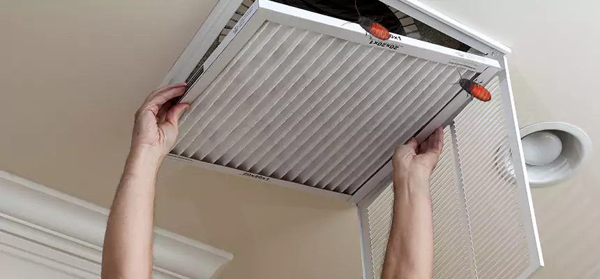 Our Insect Removal from Air Ducts Services in Castro Valley, CA