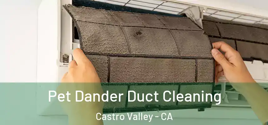  Pet Dander Duct Cleaning Castro Valley - CA