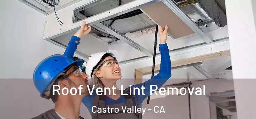  Roof Vent Lint Removal Castro Valley - CA