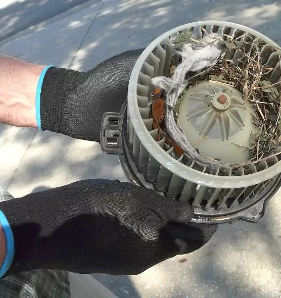 About Air Duct Rat Removal in Castro Valley, CA