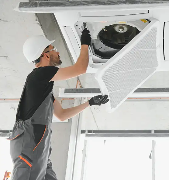 About Air Duct Rodent Removal in Castro Valley, CA