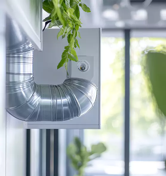 Professional Eco-Safe Dryer Vent Cleaning in Castro Valley, CA