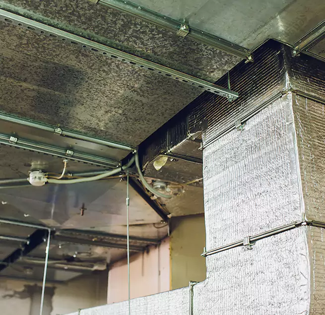 Why Homeowners & Businesses Trust Us in Castro Valley, CA?